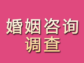 西双版纳找人指南：有效寻人技巧与侦探服务推荐