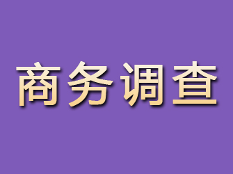 西双版纳找私家侦探调查行踪要多少钱？全面了解费用结构与影响因素